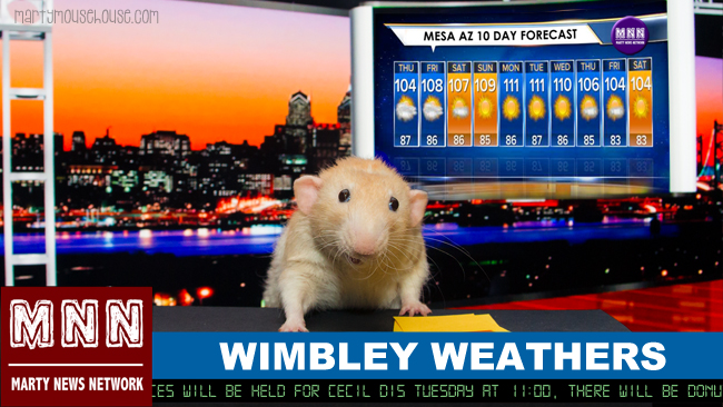 wimbley_mesaAZ www.martymousehouse.com