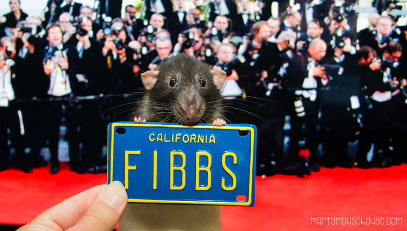 Fibbs_CA www.martymousehouse.com