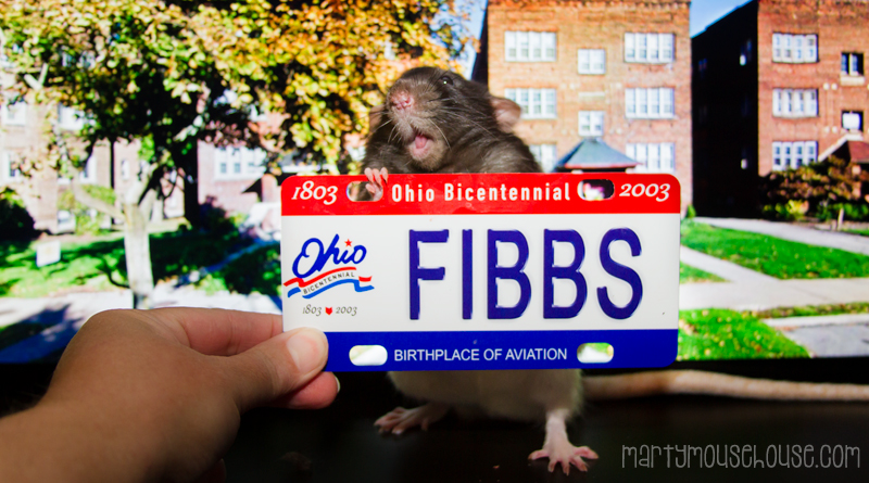 fibbs_OH