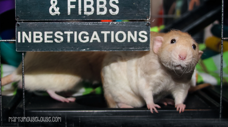 wimbley_inbestigations2