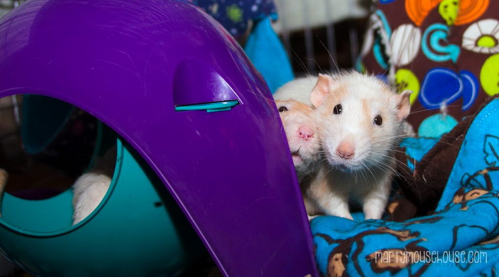 wimbleymilo_spacepod2