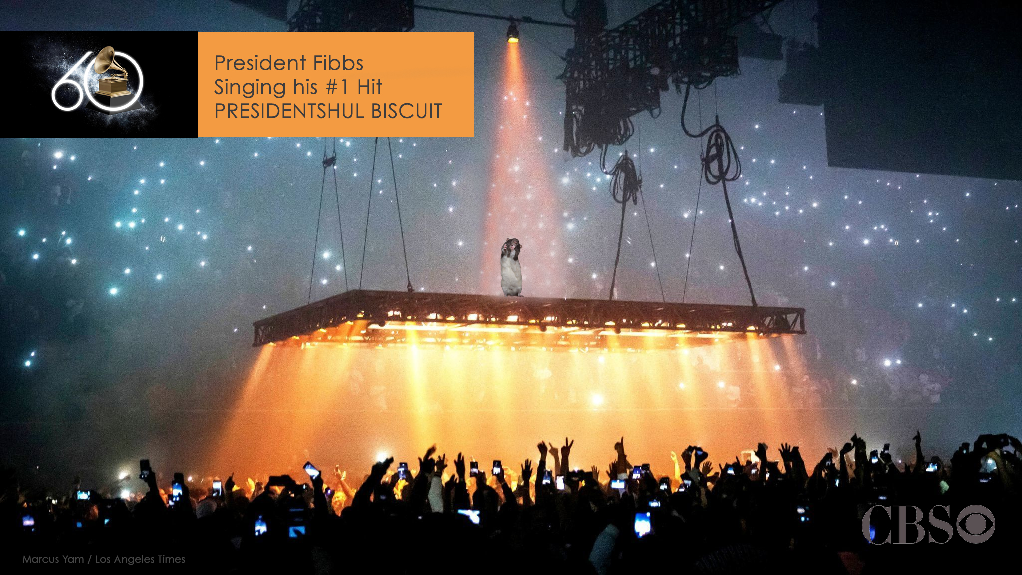 Fibbs_GrammyPerformance