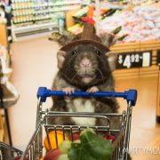 Cosmo_Shopping-3346