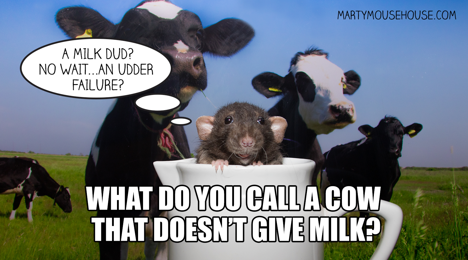 Cosmo's Cow Joke – Marty Mouse House