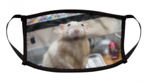 Screen Shot 2020-09-16 at 1.44.32 PM