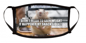 Screen Shot 2020-09-16 at 1.45.03 PM