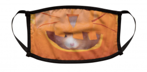 Screen Shot 2020-09-16 at 1.45.33 PM