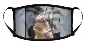 Screen Shot 2020-09-16 at 1.45.46 PM