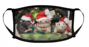 Screen Shot 2020-09-16 at 1.52.03 PM