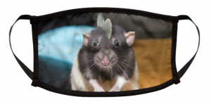 Screen Shot 2020-09-16 at 1.52.25 PM