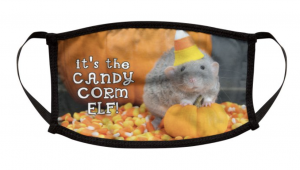 Screen Shot 2020-09-16 at 1.52.45 PM