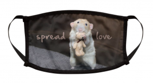 Screen Shot 2020-09-16 at 1.53.08 PM