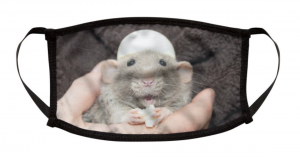 Screen Shot 2020-09-16 at 1.53.46 PM