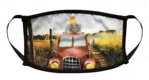 Screen Shot 2020-09-16 at 1.54.04 PM