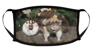 Screen Shot 2020-09-16 at 1.54.24 PM