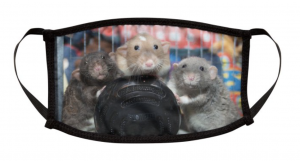 Screen Shot 2020-09-16 at 1.55.31 PM