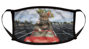 Screen Shot 2020-09-16 at 1.56.19 PM