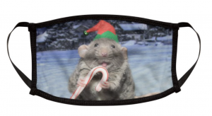 Screen Shot 2020-09-16 at 1.56.39 PM