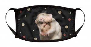 Screen Shot 2020-09-16 at 2.48.55 PM