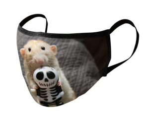 Screen Shot 2020-09-16 at 2.50.05 PM