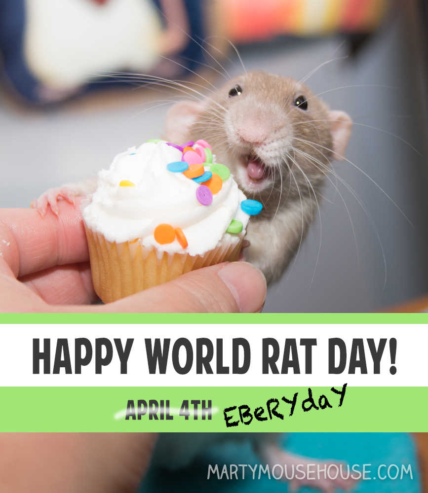 World Rat Day Marty Mouse House