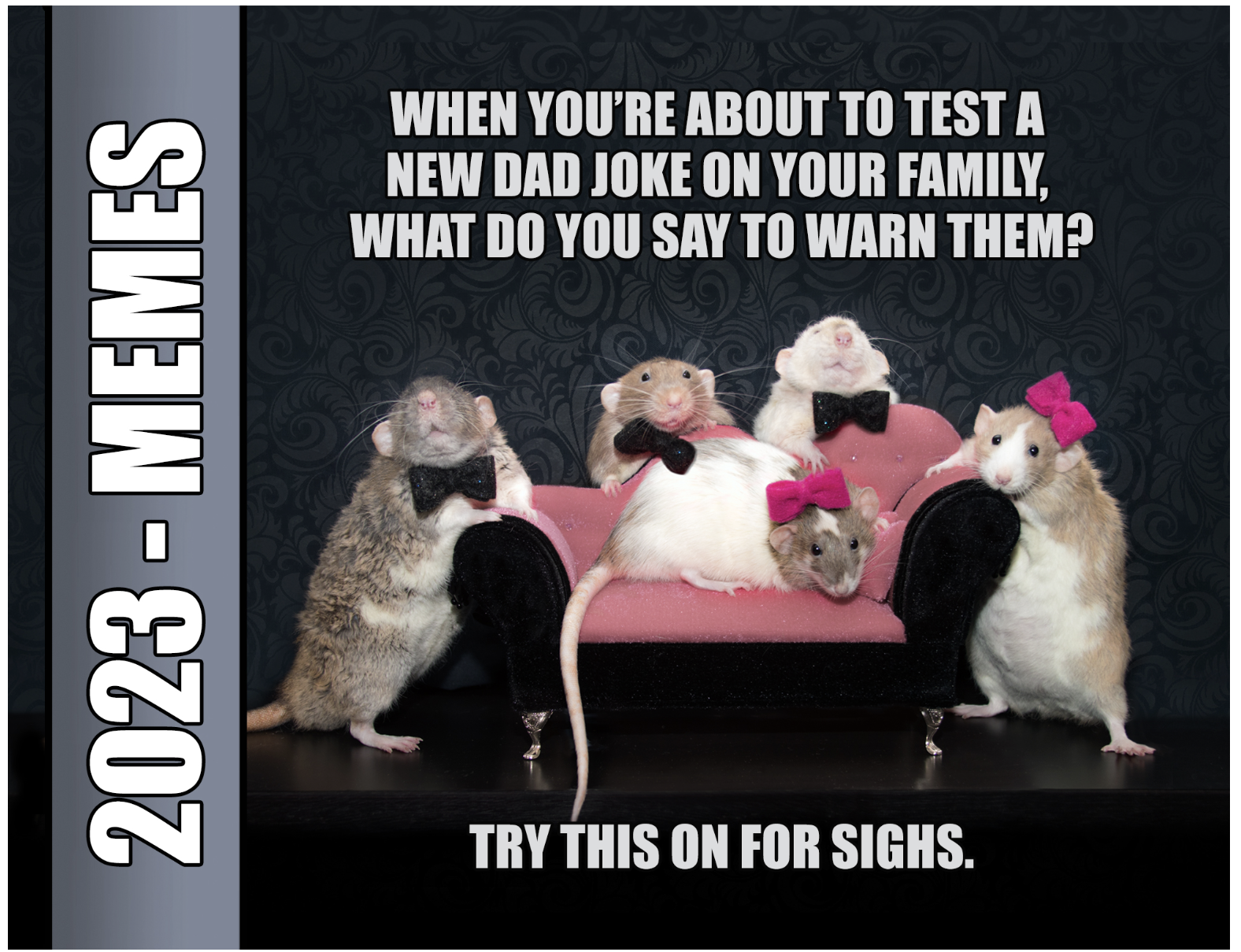 Screen Shot 2022-10-13 at 8.22.39 PM