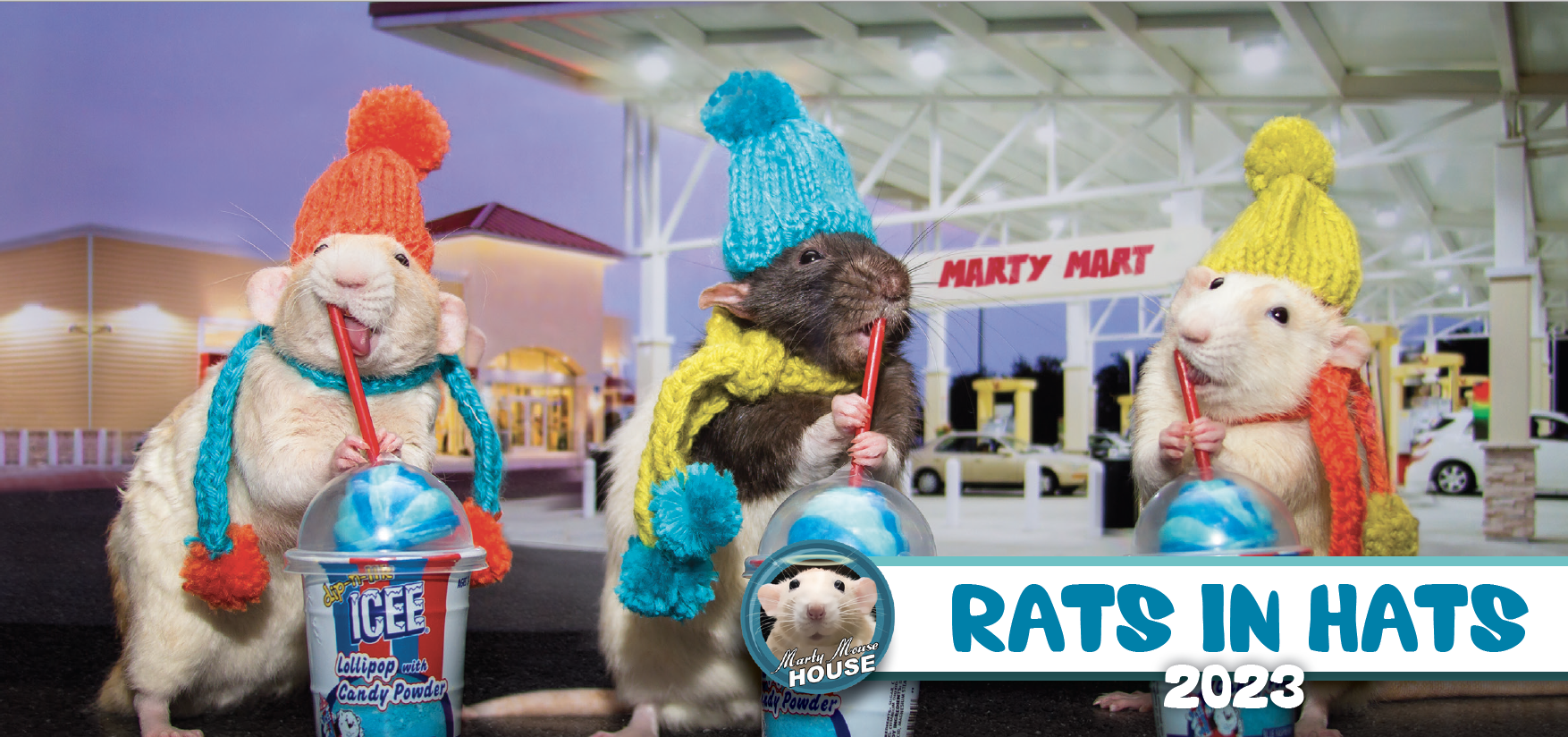 Screen Shot 2022-10-13 at 8.37.46 PM