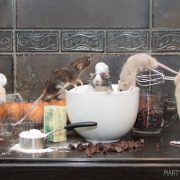 BBWRF_MakingCookies_Progress